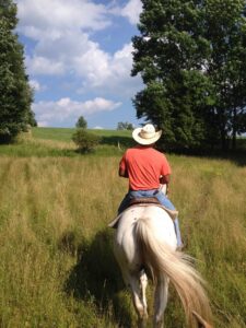 Man riding horse in field