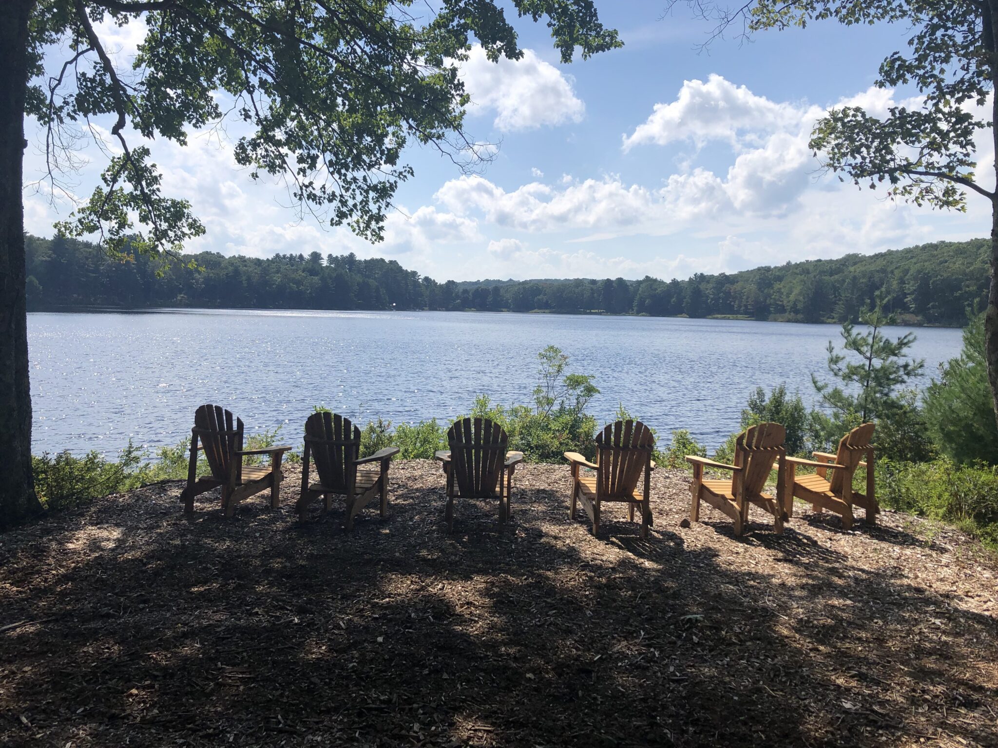 Wooden seats overlooking a lake
