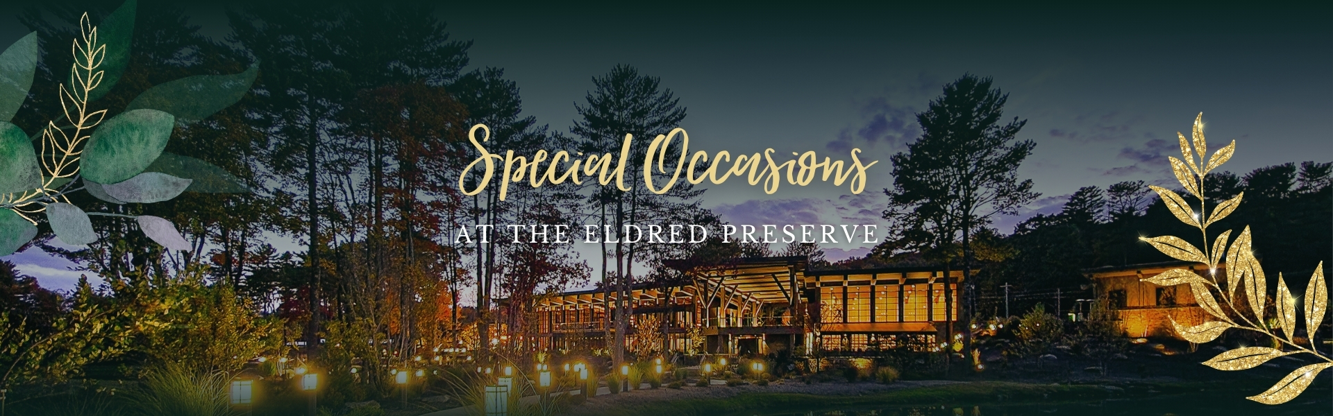 Special Occasions hero Special Occasions hero